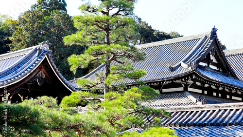 Japanese traditional building, Sennyuji temple in Kyoto
