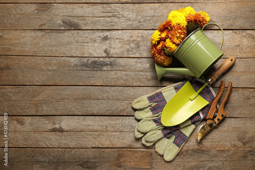 Fototapeta Naklejka Na Ścianę i Meble -  Watering can with beautiful Chrysanthemum flowers and gardening tools on wooden background