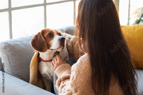 Woman covering her cute dog...