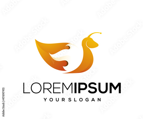gradient color snail fire logo vector