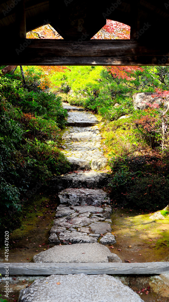 beautiful autumn leaves of Okochi Sanso in Kyoto beautiful autumn leaves of Okochi Sanso in Kyoto