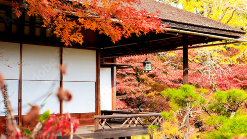 beautiful autumn leaves of Okochi Sanso in Kyoto photo