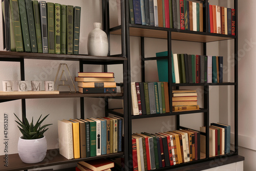 Collection of different books and decorative elements on shelves in home library © New Africa