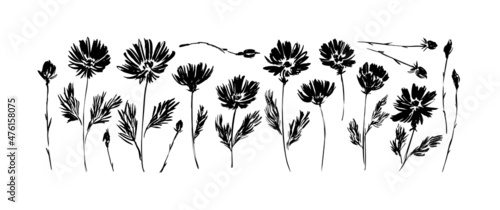 Billede på lærred Spring small flowers hand drawn vector set