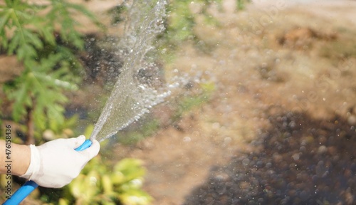 watering the garden