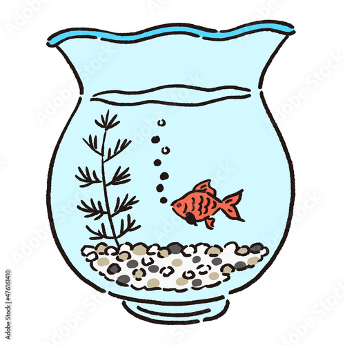 金魚鉢で泳いでいる金魚のイラスト
