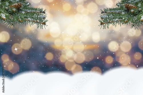 winter christmas background with snow fir branches cones on forest background