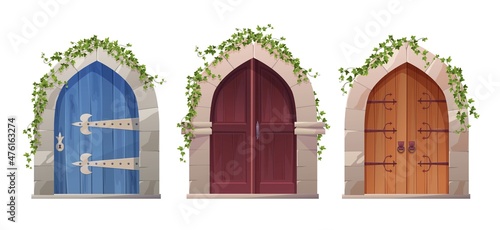 Antique medieval wooden door with handle, arch and ivy plant. Entrance, gate in a castle, church or house.