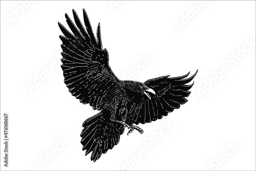 big black raven flying vector illustration isolated on white background