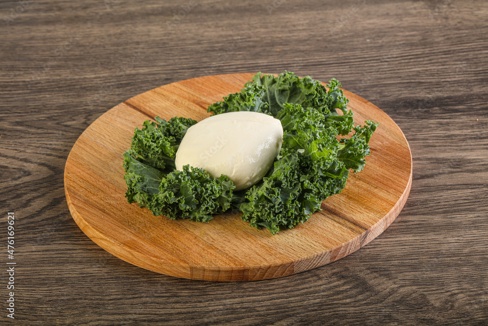 Soft mozzarella cheese over board Soft mozzarella cheese over board