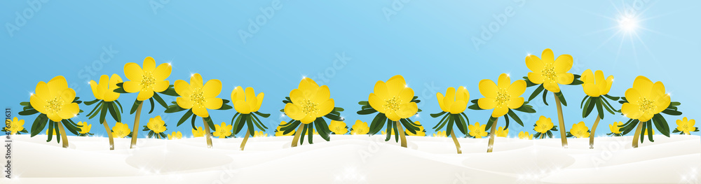 Winterlandschaft mit gelben Blumen, Winterlinge Illustration, Ostern, Banner