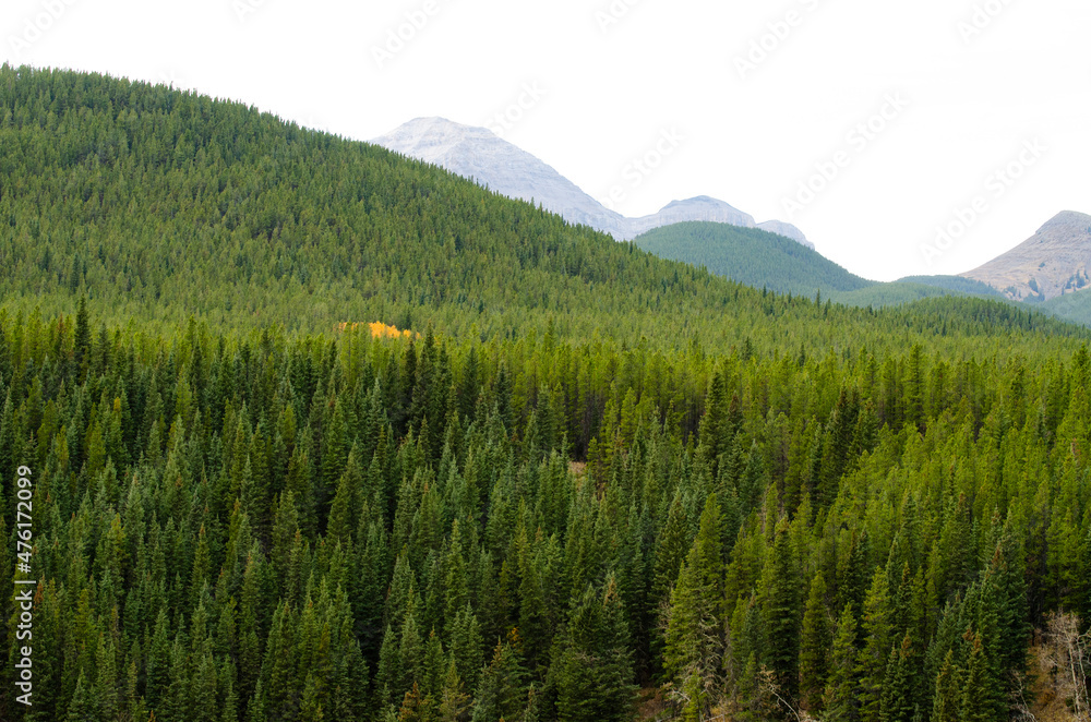 Obraz premium Mountain landscape