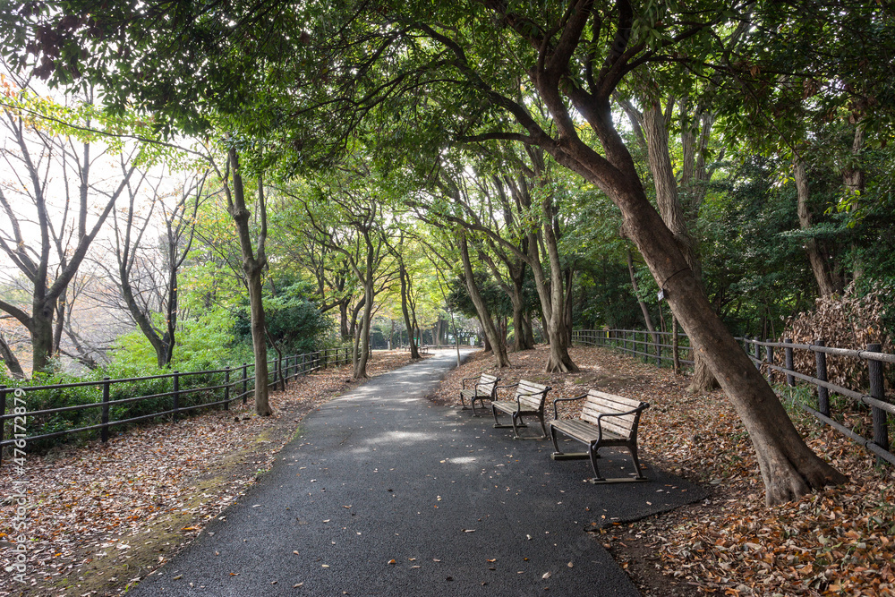 日吉の丘公園（神奈川県横浜市港北区箕輪町）