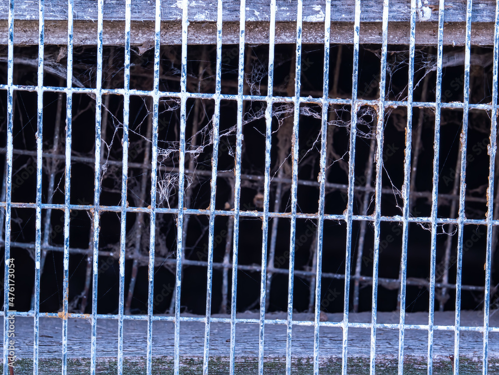 Obraz premium Metal lattice of the cage for keeping farm animals. Place for animals on the farm. Metal grid. Background image. Aging of iron.