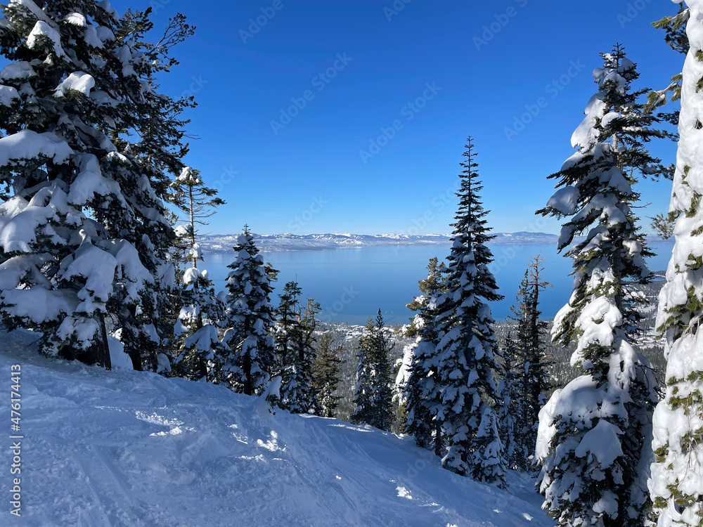 Fototapeta premium Scenic view of Lake Tahoe from the snow covered slopes of a ski resort on a bluebird winter day
