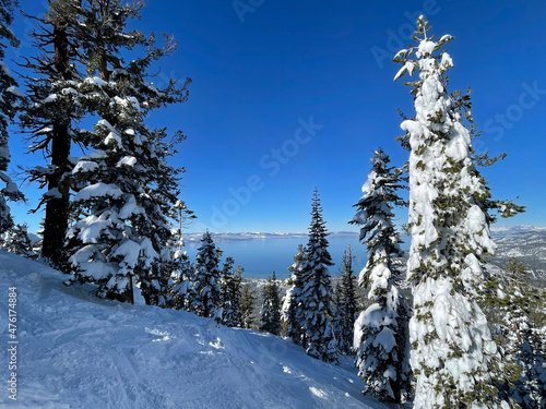 Scenic view of Lake Tahoe framed by snow covered trees on a bluebird winter day from Heavenly ski resort in South Lake Tahoe