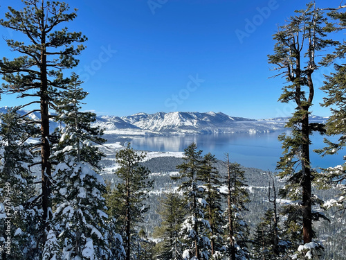 Scenic view of Lake Tahoe framed by snow covered trees, as seen from a ski resort on a bluebird winter day