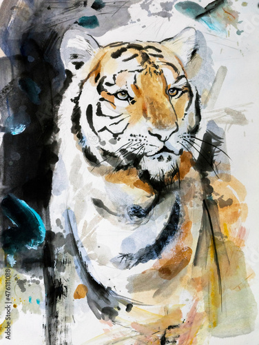 Big tiger looks menacingly - watercolor drawing