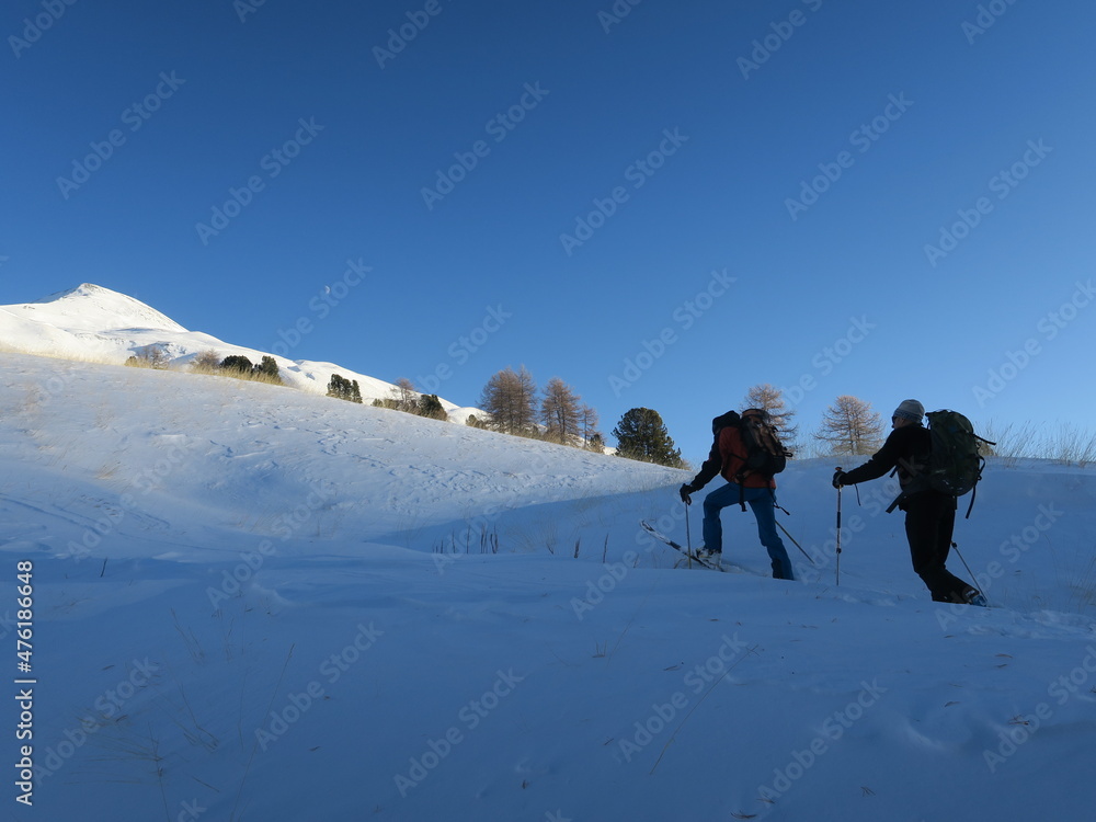 Ski de randonnée alpinisme dans les montagnes des Alpes l'hiver dans la neige avec un groupe de skieurs aguerris