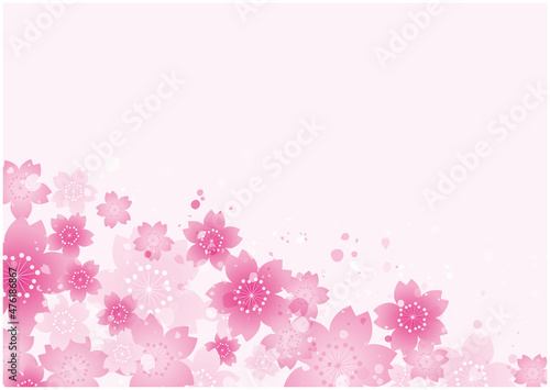 春　桜　背景