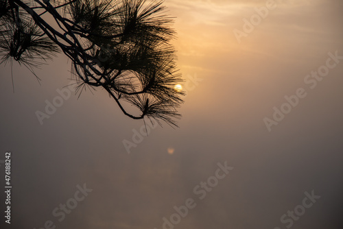 Sunrise in a foggy winter