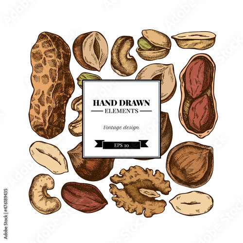 Square design with colored cashew, peanut, pistachio, hazelnut, almond, walnut