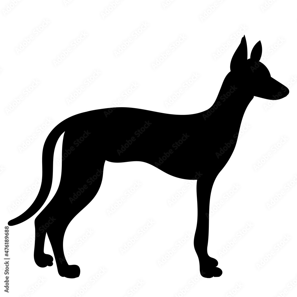 Obraz premium black silhouette dog standing isolated