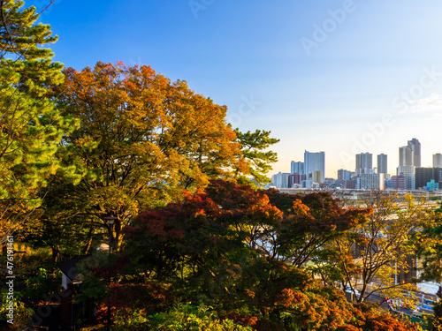 Cityscape seen from a park at late afternoon (Tamagawadai park, Ota-ku, Tokyo, Japan) © Mayumi.K.Photography