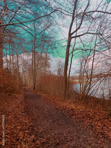 autumn in the park