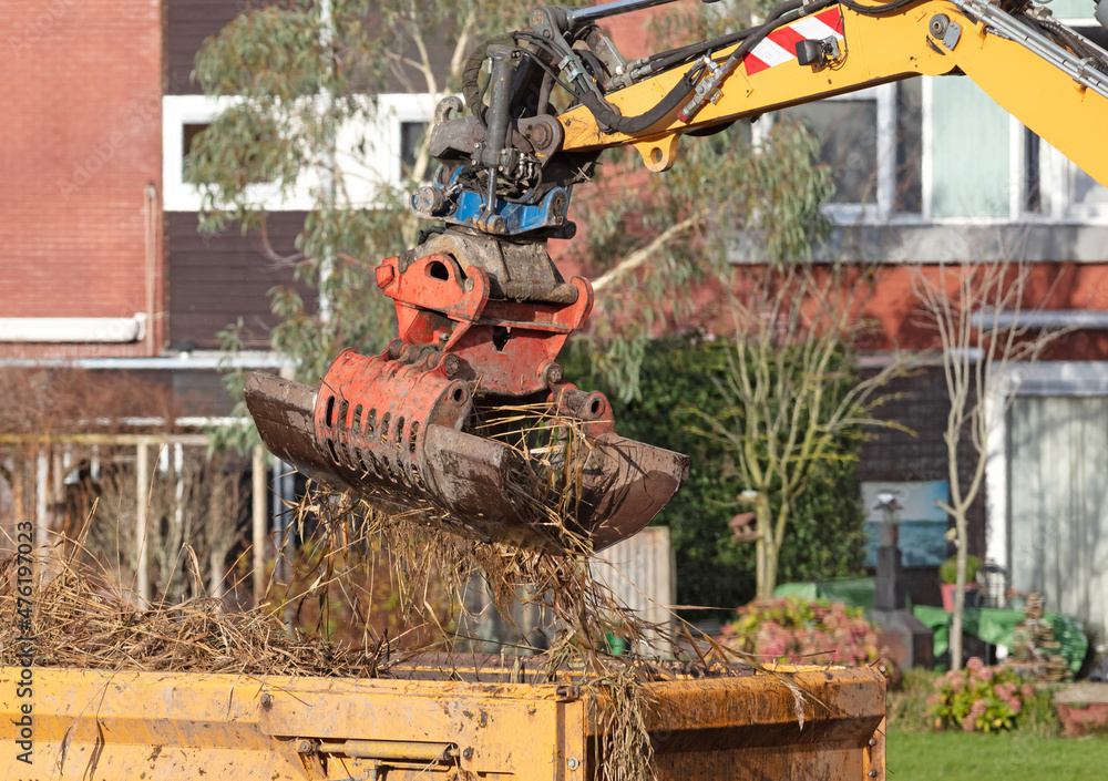 Fototapeta premium Gathering reeds with a large grab crane