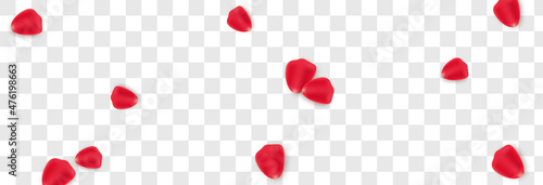 Vector rose petals on isolated transparent background. Petals PNG. Holiday, Valentine's Day.