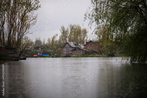 Dal Lake, Srinagar, India