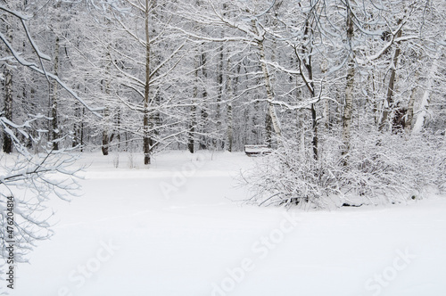 Winter landscape with a park after snowstorm