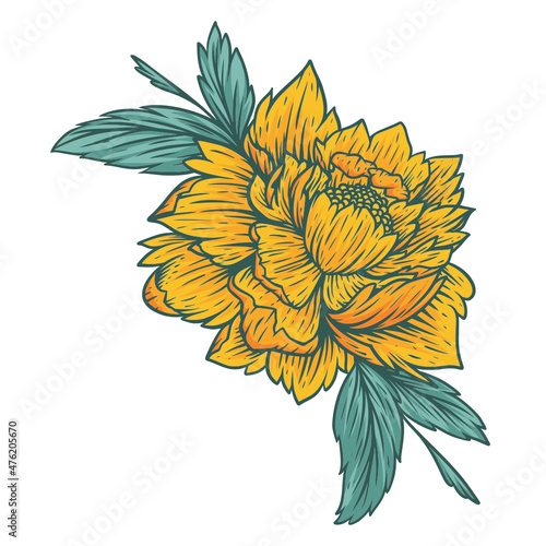 flower isolated on white