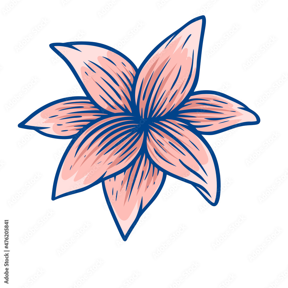 illustration of a flower