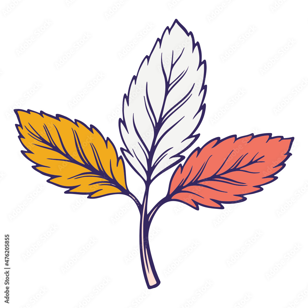set of autumn leaves set of autumn leaves