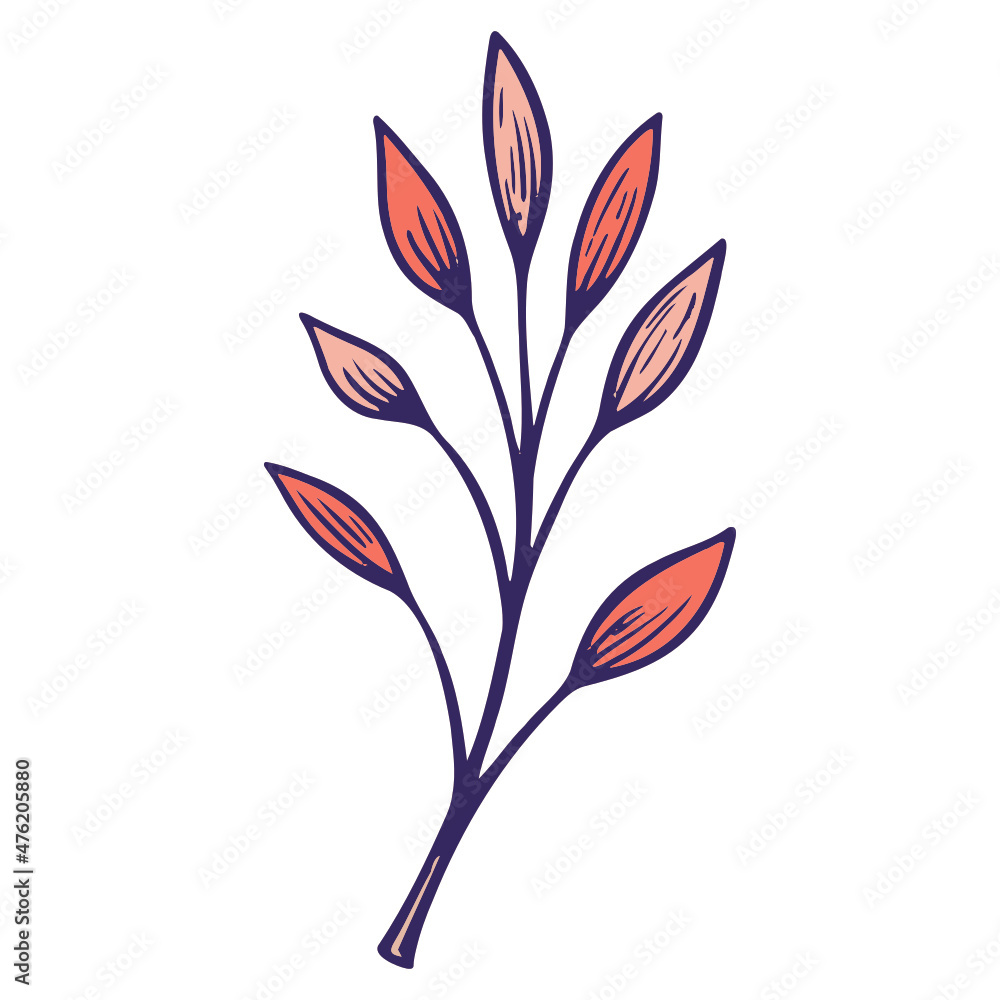 illustration of a flower illustration of a flower