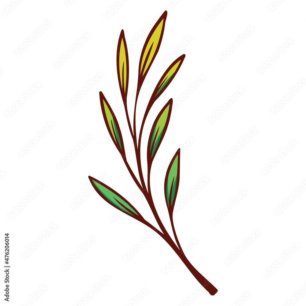 illustration of a flower illustration of a flower