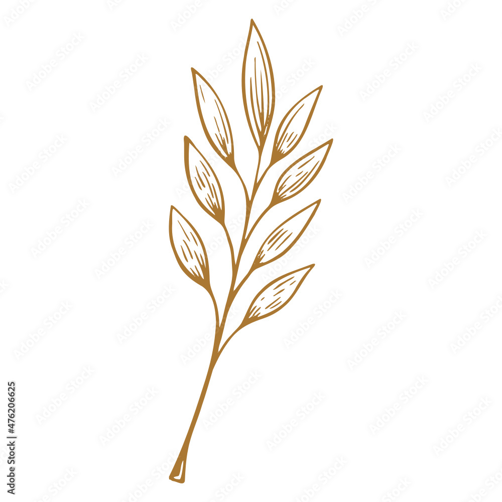 Hand Drawn Leaf boho element Hand Drawn Leaf boho element