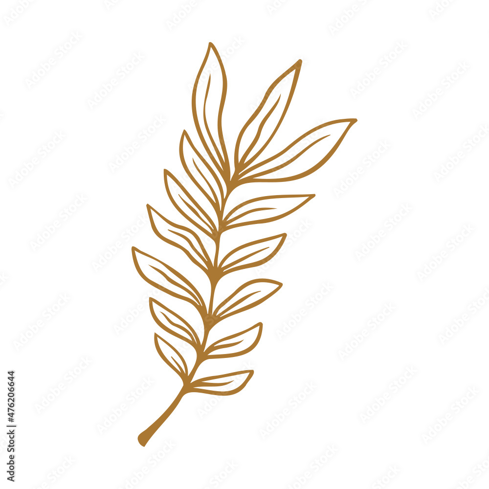 leaves isolated on white background leaves isolated on white background