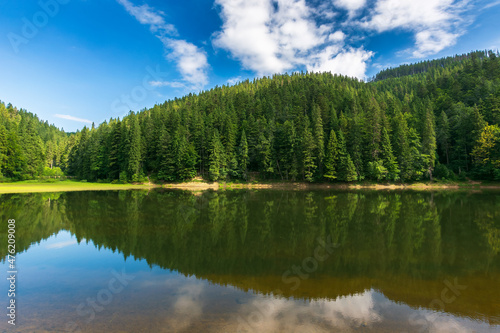 landscape with calm lake in summer. tranquil nature with forest reflection in the water. beautiful travel background of synevyr, ukraine. green outdoor environment