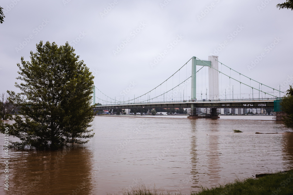 Cologne Flood