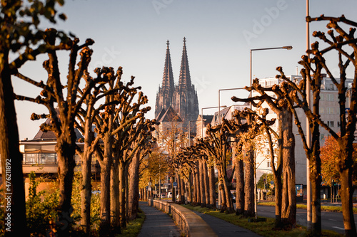 Sticker Cologne cathedral trees