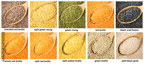 set of various lentils in wood spoons closeup photo