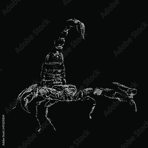Scorpion hand drawing vector illustration isolated on black background