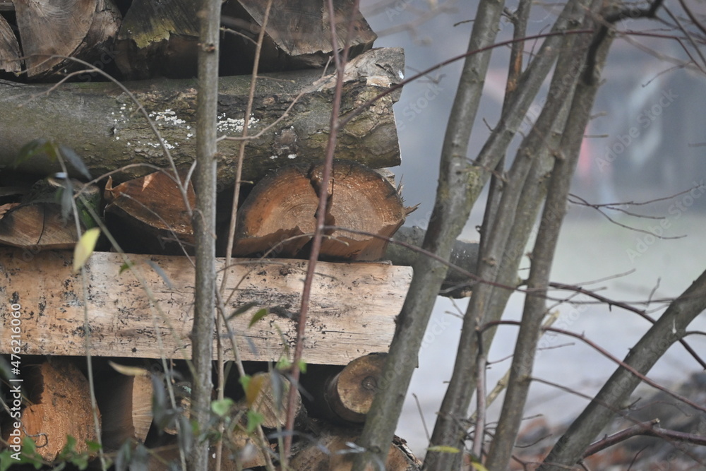 Obraz premium Feuerholz