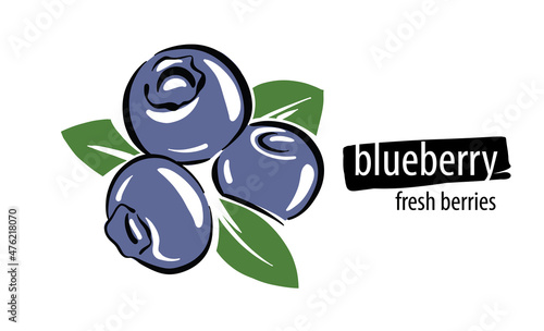 Drawn vector Blueberry on a white background