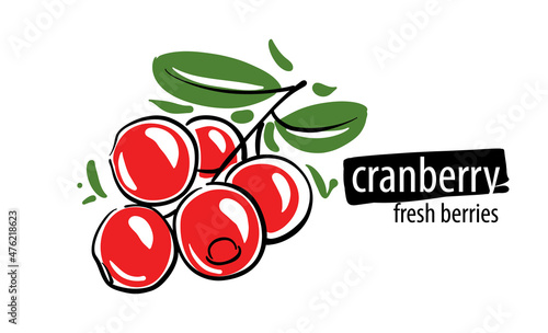 Drawn vector cranberry on a white background