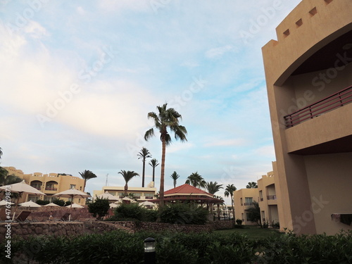 Palm trees and buildings in Sharm el Sheikh, Egypt. Bottom view. Structures and nature of Africa.