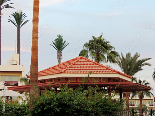 Palm trees and buildings in Sharm el Sheikh, Egypt. Bottom view. Structures and nature of Africa.